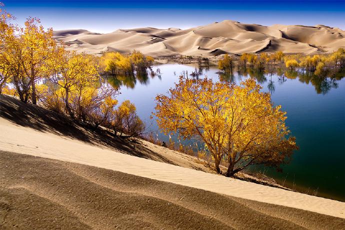 新疆智造，未来已来——新疆高科技创新之旅揭秘